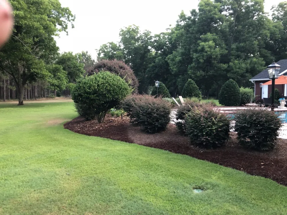 Expert lawn care service experts serving Blackshear, GA - Elliot Hernandez Lawn Service