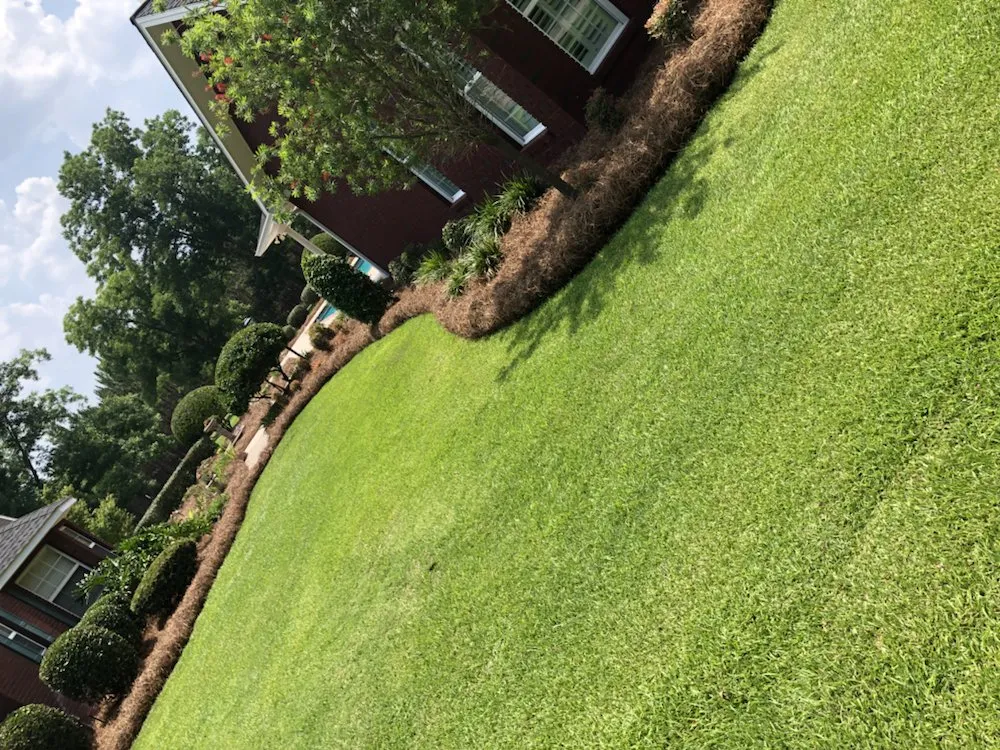 Expert yard maintenance for beautiful yards in Blackshear, GA by Elliot Hernandez Lawn Service