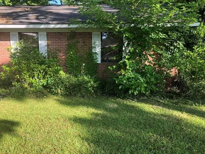 Custom landscape installation near you in Blackshear, GA by Elliot Hernandez Lawn Service