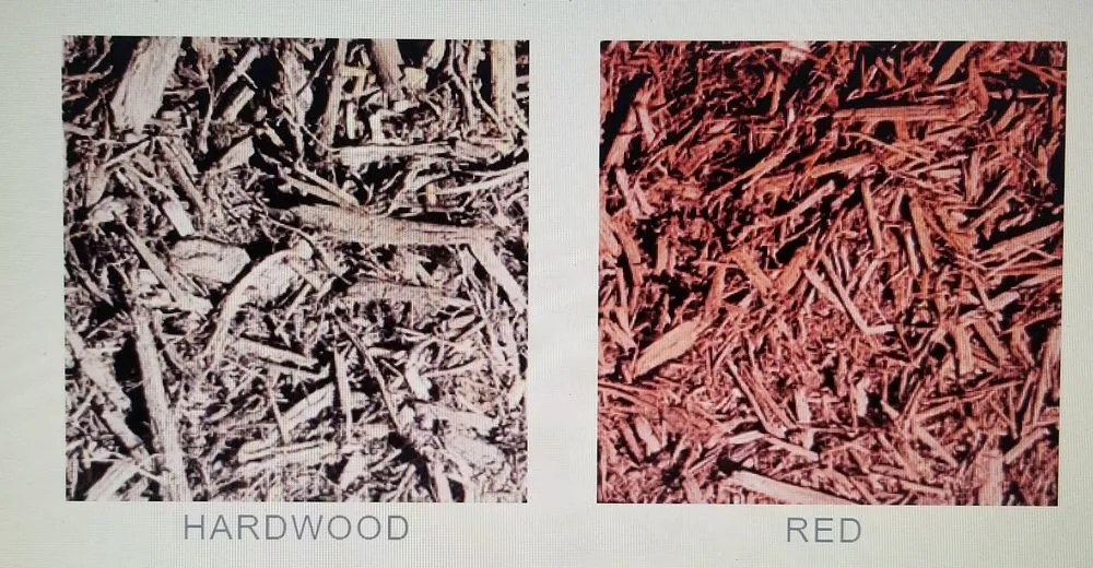 Expert residential landscaping in Laurel, DE by Elliott & Sons Yard Service