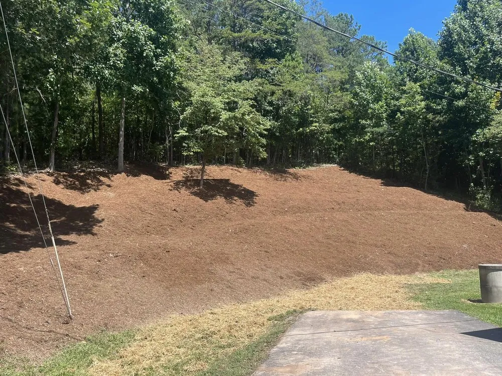 Professional residential landscaping for outdoor upgrades across Marion, NC - Elliott Clearing And Septic