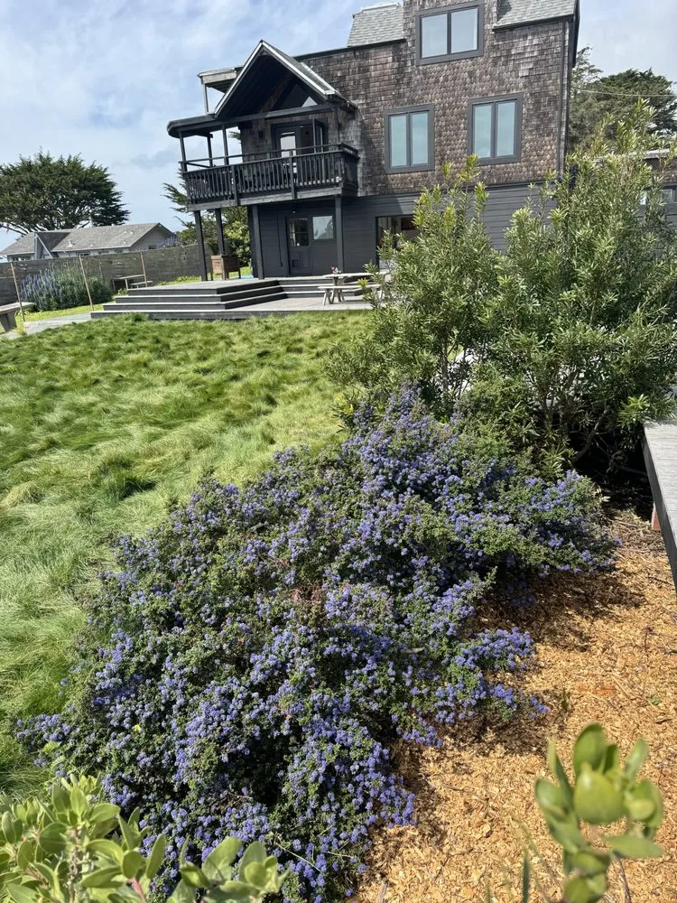 Affordable lawn care service for homes across Fairfax, CA - Elliott Land Management