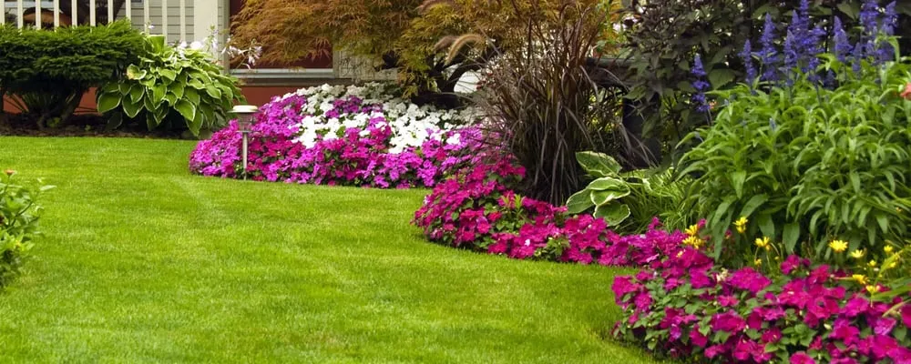 Expert yard maintenance for residential properties across North Little Rock, AR - Elliott Lawn and Landscape