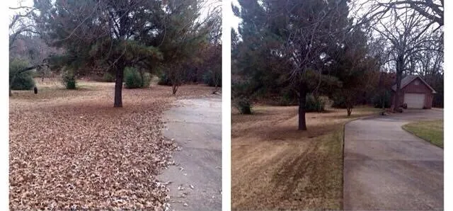 Expert outdoor landscaping experts serving North Little Rock, AR - Elliott Lawn and Landscape