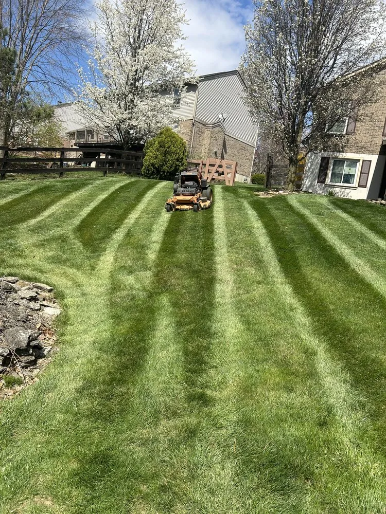 Custom lawn care service experts serving Hebron, KY - Elliott Lawn Care