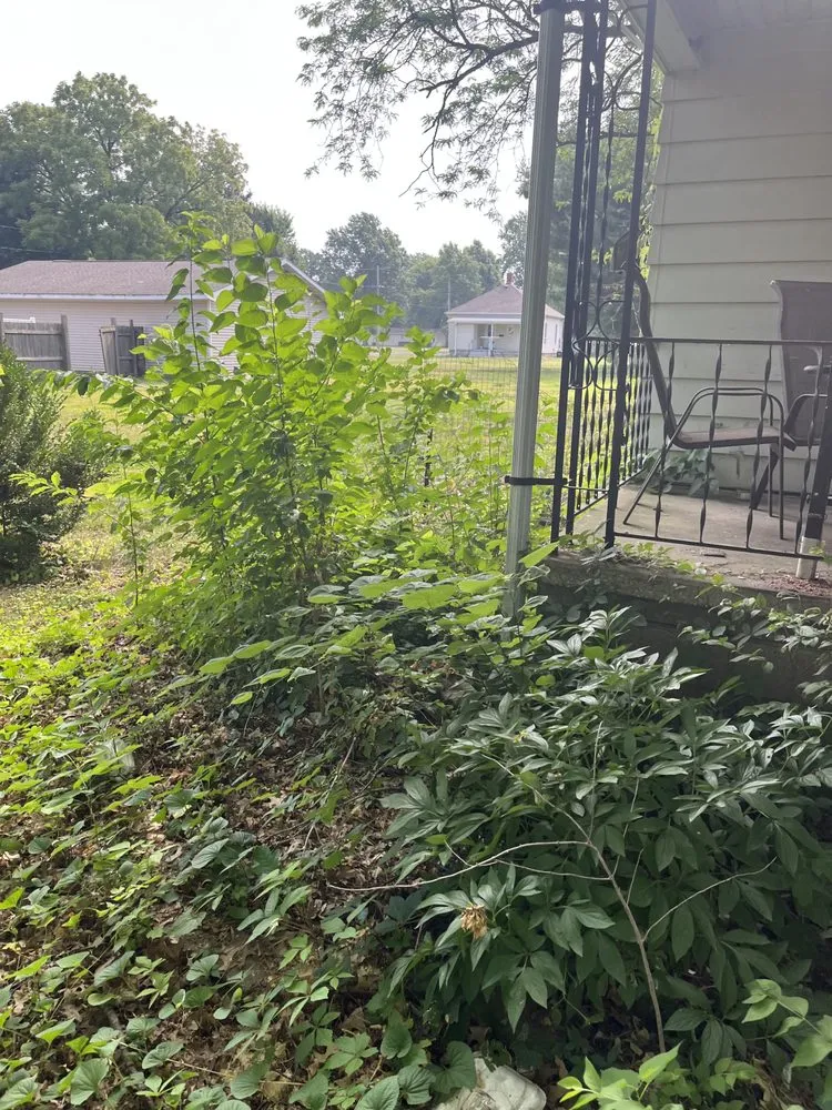 Professional lawn mowing service experts serving Taylorville, IL - Elliott Lawn Care