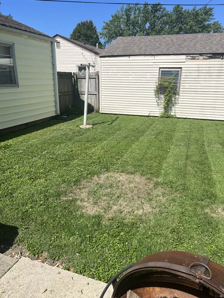 Professional landscape installation experts serving Taylorville, IL - Elliott Lawn Care