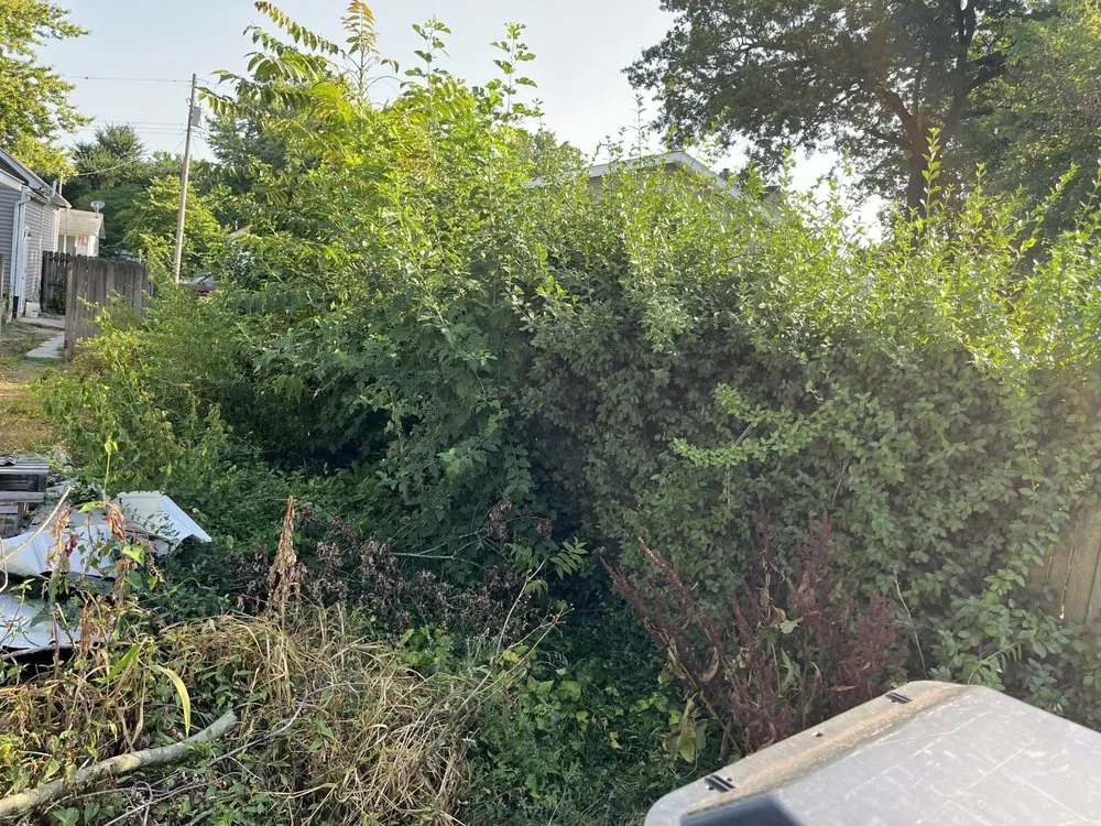 Affordable lawn care service in Taylorville, IL by Elliott Lawn Care