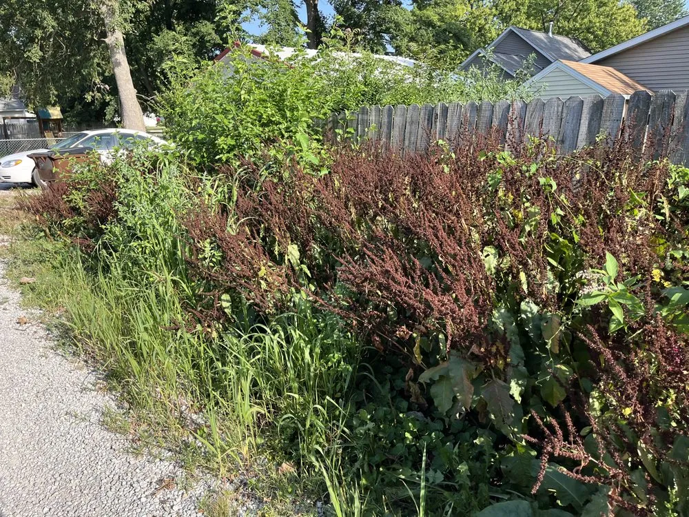 Custom landscaping services near you in Taylorville, IL by Elliott Lawn Care