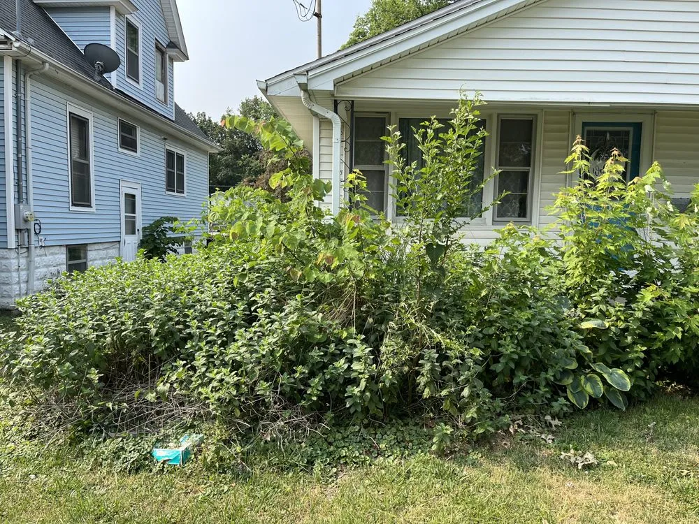 Professional outdoor landscaping in Taylorville, IL by Elliott Lawn Care