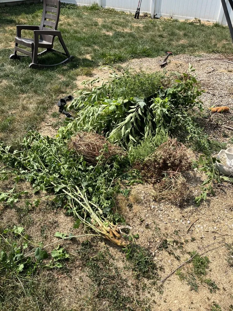 Trusted yard maintenance experts serving Taylorville, IL - Elliott Lawn Care