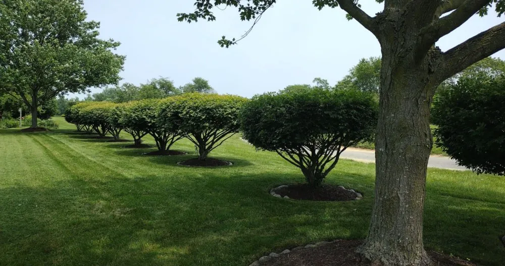 Top-rated landscaping services for year-round maintenance across Middletown, DE - Elliott Professional Lawn Care