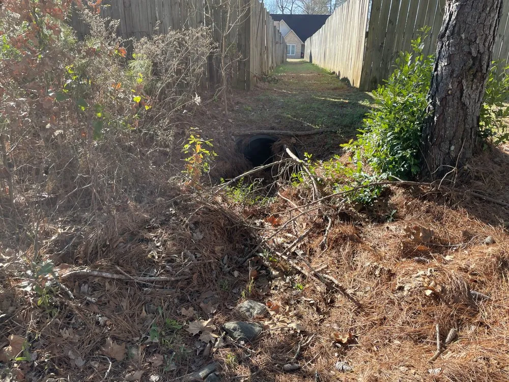 Professional residential landscaping for beautiful yards in Warner Robins, GA by Elliott Xtreme Services