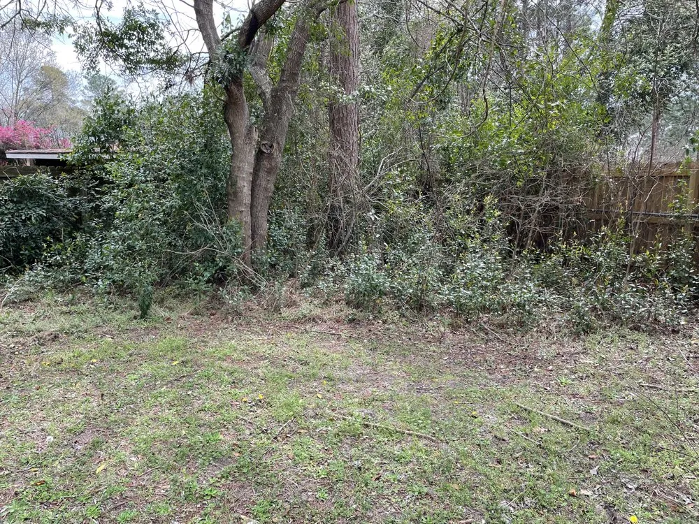 Affordable landscape installation for homes in Warner Robins, GA by Elliott Xtreme Services