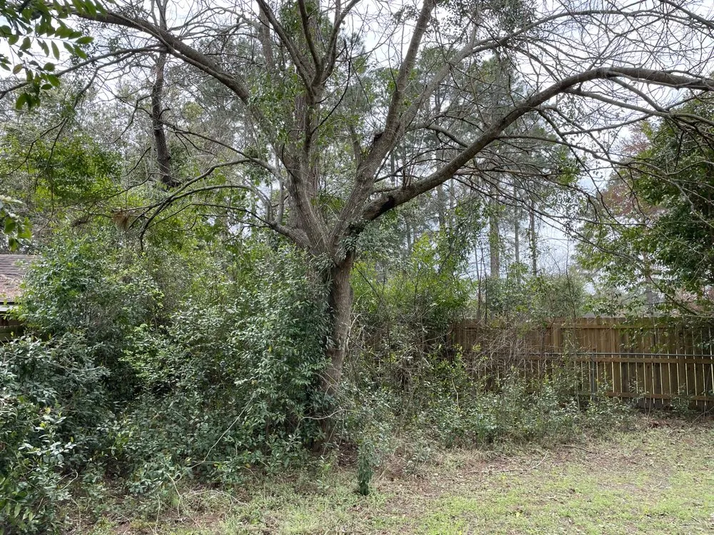 Expert residential landscaping for residential properties across Warner Robins, GA - Elliott Xtreme Services