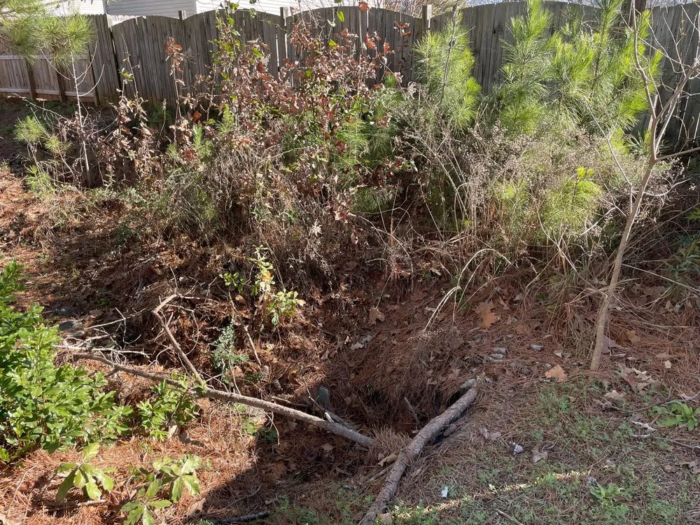 Reliable yard cleanup service for outdoor upgrades in Warner Robins, GA by Elliott Xtreme Services