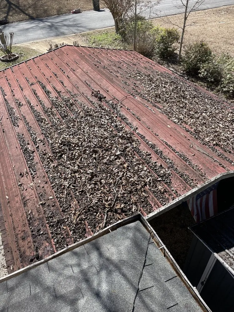 Local yard cleanup service experts serving Warner Robins, GA - Elliott Xtreme Services