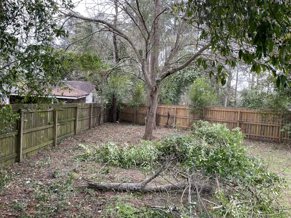 Affordable lawn care service experts serving Warner Robins, GA - Elliott Xtreme Services