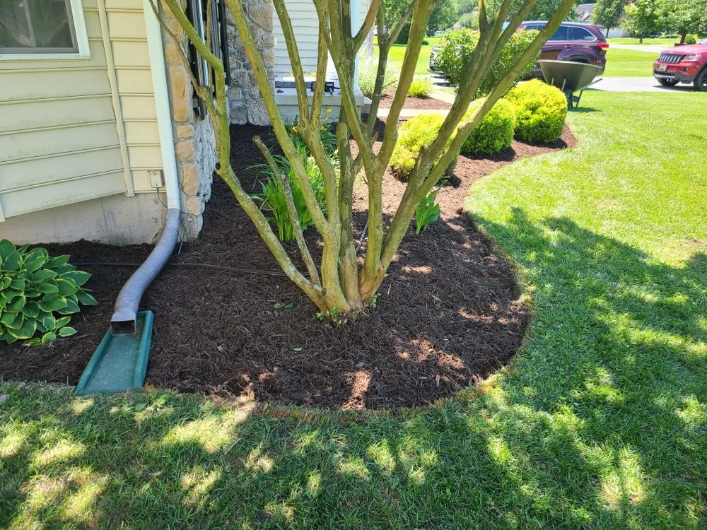 Local landscaping services near you across Delmar, DE - Elliott’s Land Management