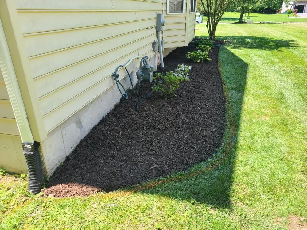 Expert yard cleanup service in Delmar, DE - Elliott’s Land Management