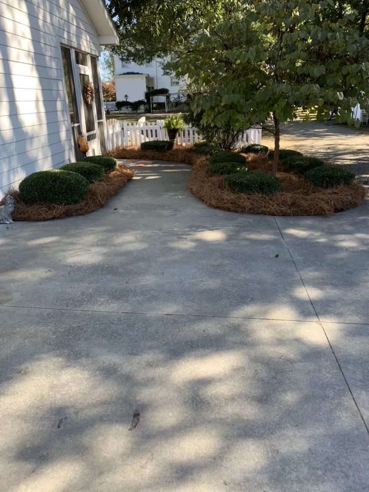 Reliable yard maintenance in Galivants Ferry, SC - Elliott’s Lawn Care