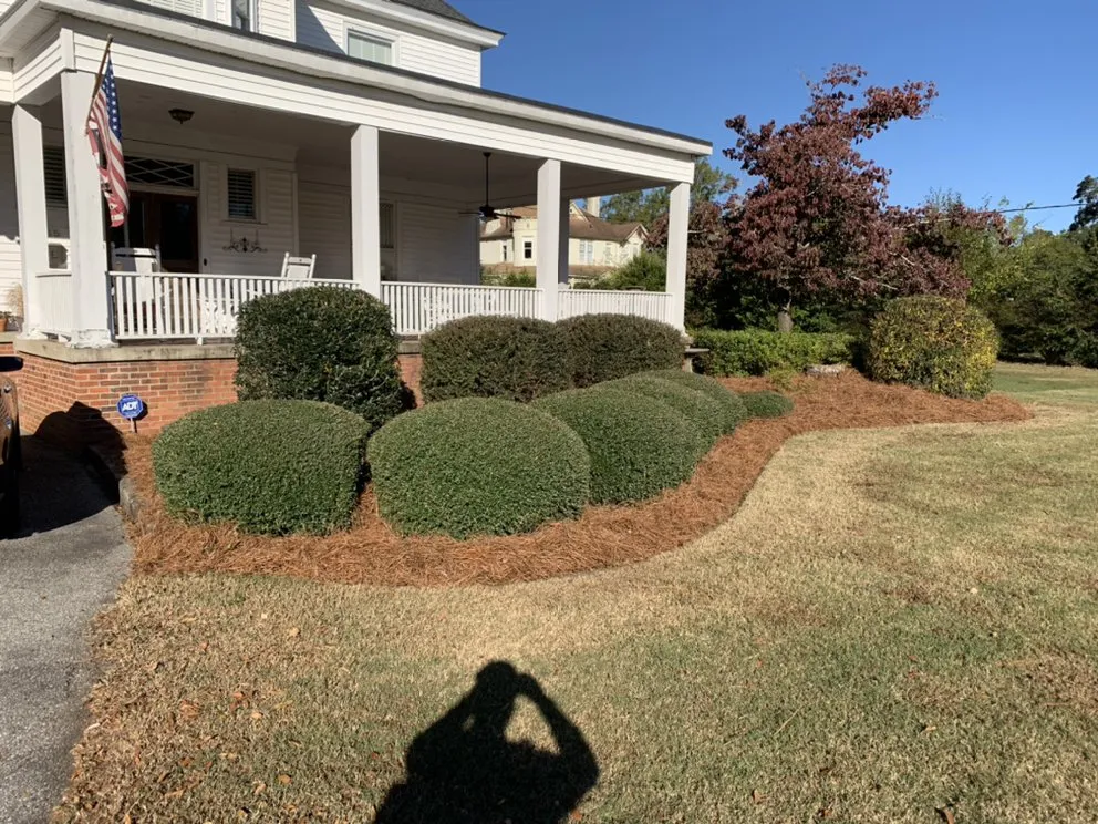 Local lawn mowing service with custom design across Galivants Ferry, SC - Elliott’s Lawn Care