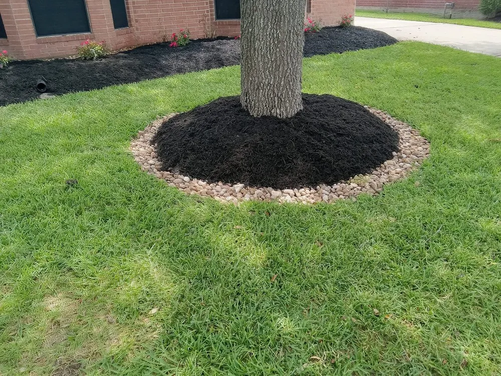 Reliable lawn care service experts serving Dickinson, TX - Elliotts Lawn Home Services