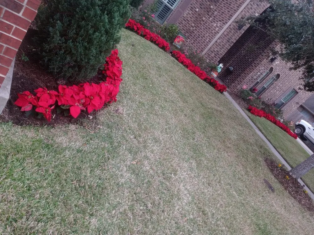 Expert yard maintenance for beautiful yards across Dickinson, TX - Elliotts Lawn Home Services