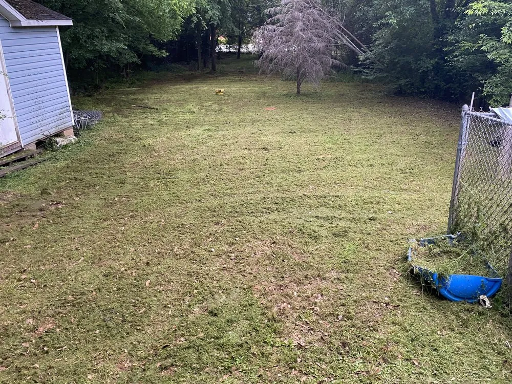 Custom residential landscaping in Americus, GA by Elliotts Lawn Solution