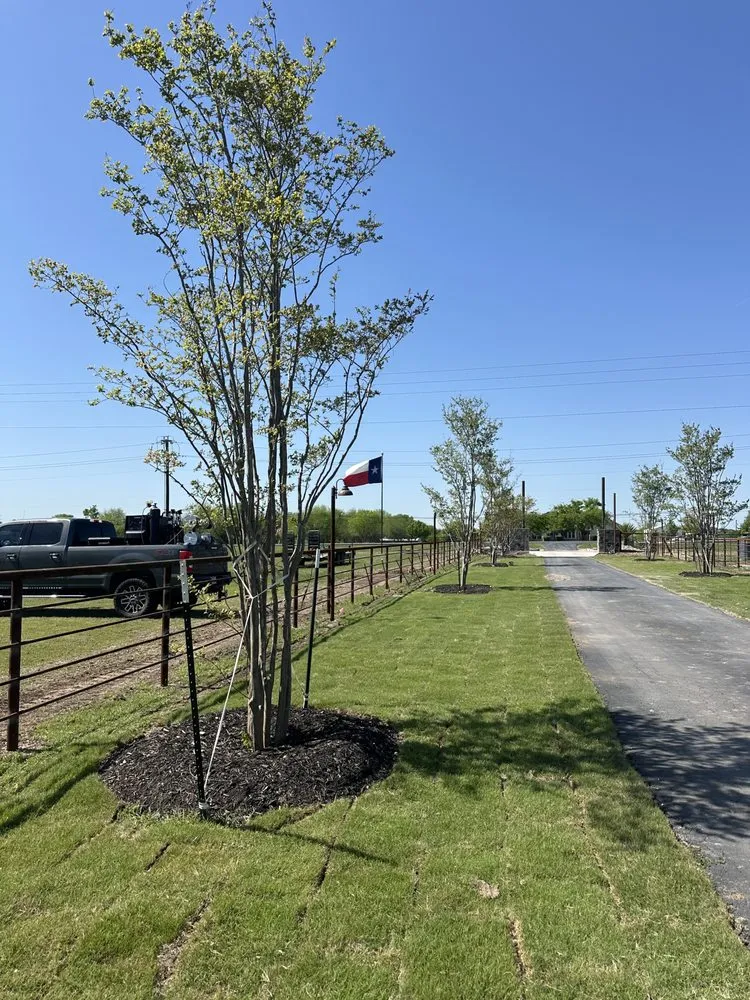 Trusted garden landscaping experts serving Waxahachie, TX - Ellis County Landscapes