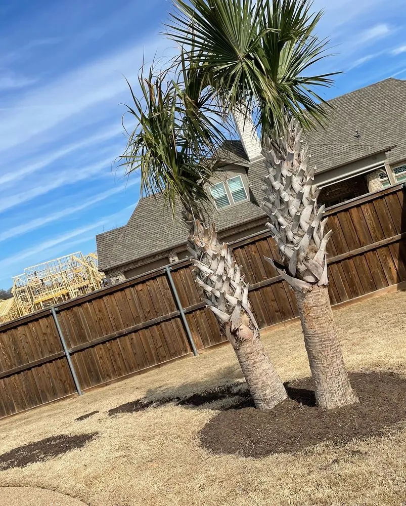 Professional outdoor landscaping in Waxahachie, TX - Ellis County Landscapes