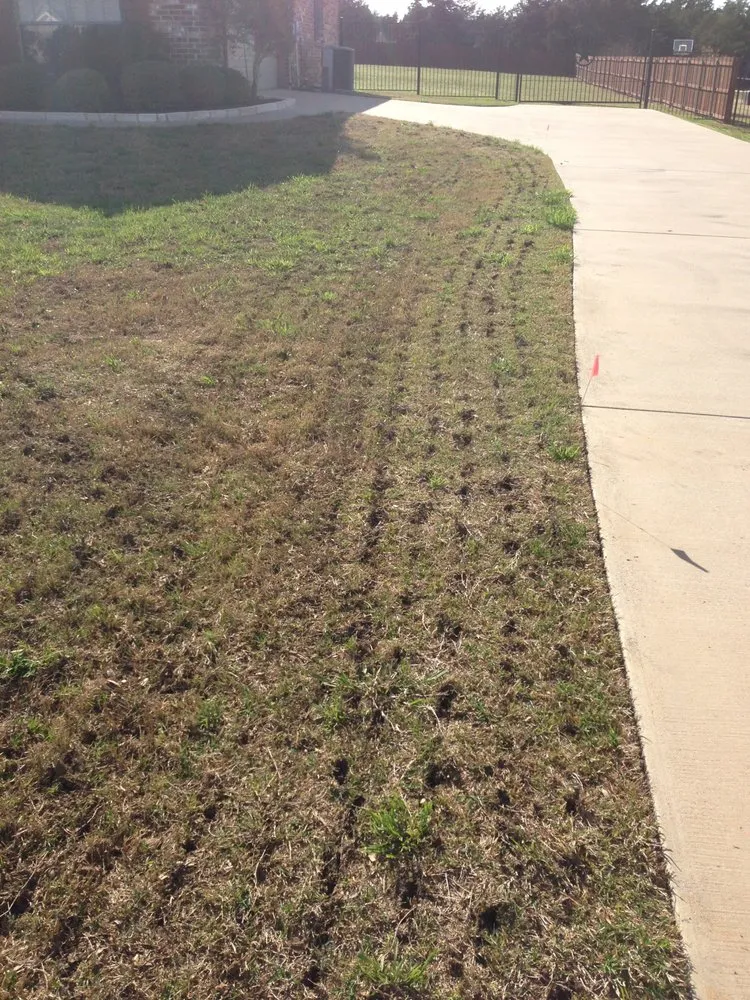 Trusted outdoor landscaping experts serving Waxahachie, TX - Ellis County Lawn & Landscape