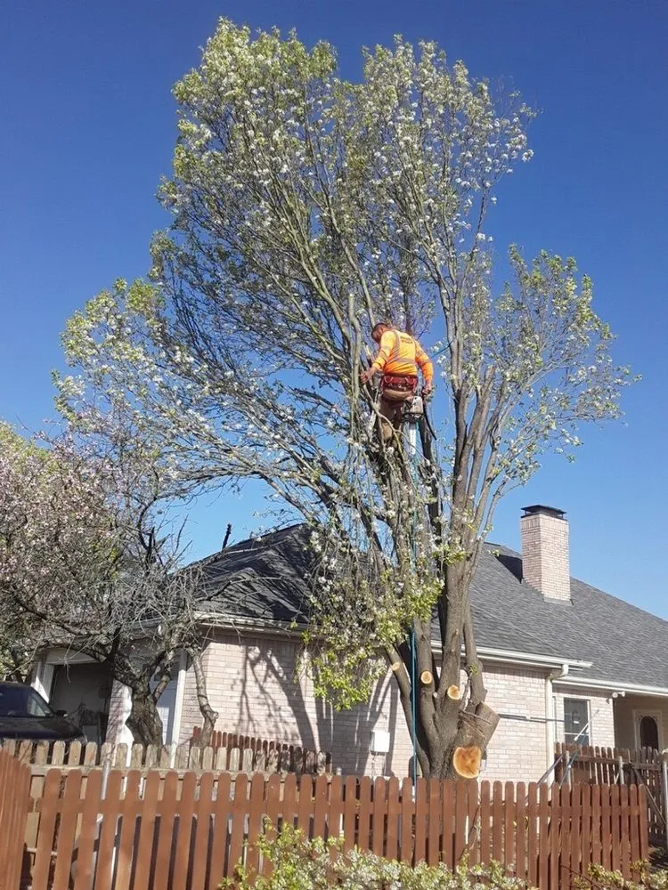 Affordable yard cleanup service for outdoor upgrades across Waxahachie, TX - Ellis County Lawn & Landscape
