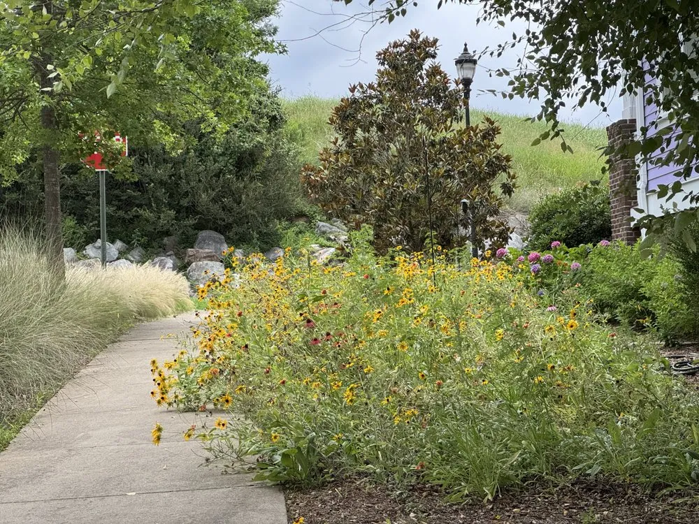 Local garden landscaping experts serving Rock Hill, SC - Ellis Moving & Handyman Services