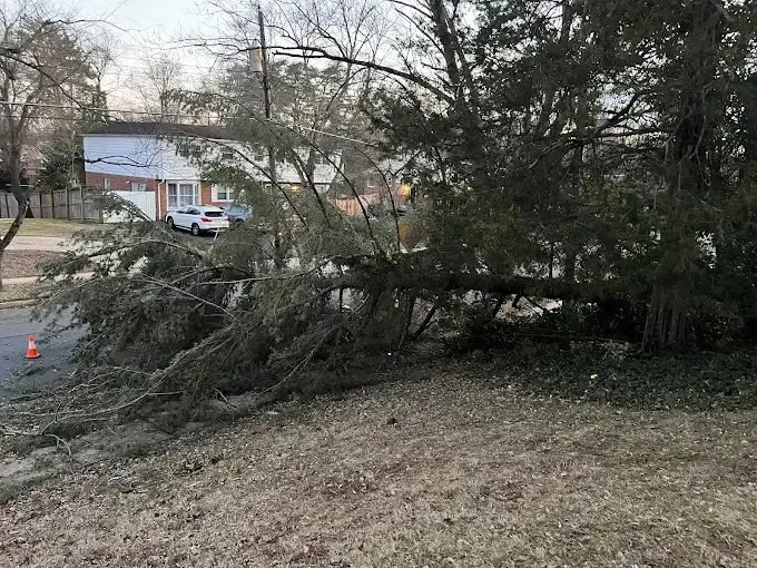 Reliable landscape installation experts serving Culpeper, VA - Ellis Outdoor Services