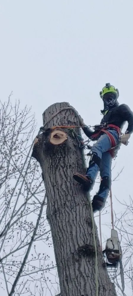 Top-rated landscape design in Culpeper, VA - Ellis Outdoor Services