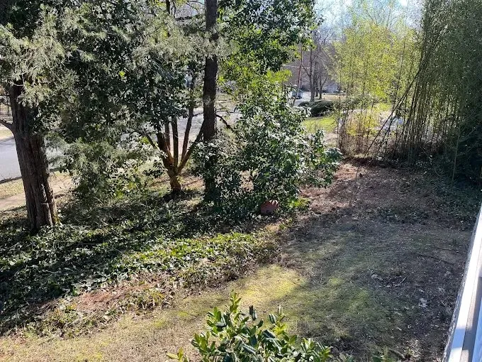 Expert yard cleanup service in Culpeper, VA - Ellis Outdoor Services