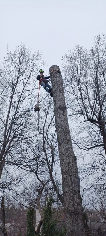 Expert landscape installation in Culpeper, VA by Ellis Outdoor Services