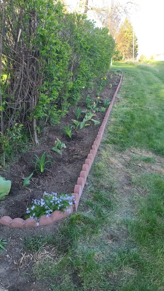 Trusted landscape design experts serving Springville, IA - Ellison Lawn Care