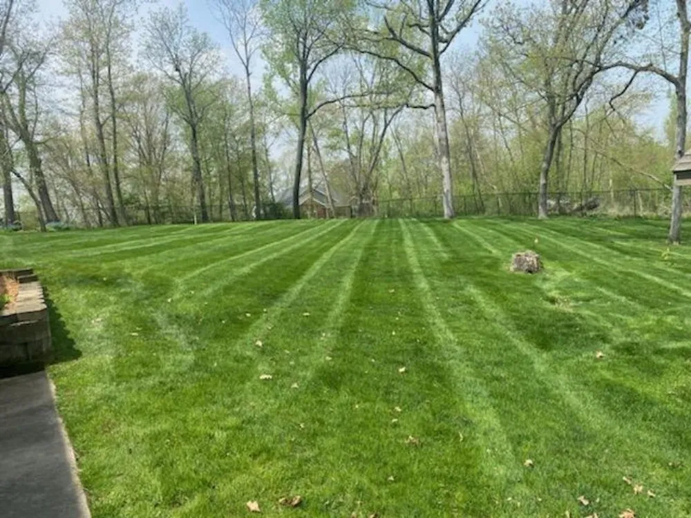 Custom residential landscaping for outdoor upgrades across Springville, IA - Ellison Lawn Care