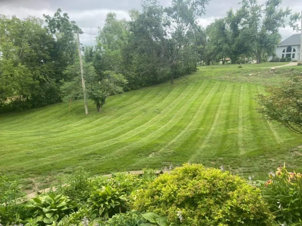 Local lawn care service in Springville, IA by Ellison Lawn Care