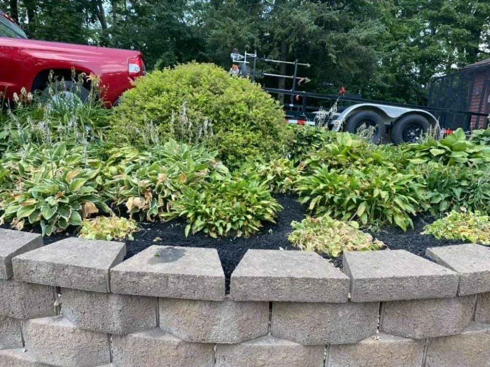 Top-rated yard maintenance experts serving Springville, IA - Ellison Lawn Care