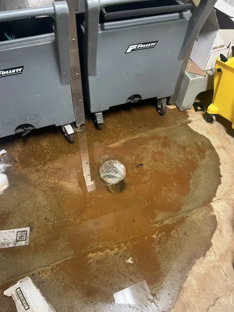 Reliable yard maintenance experts serving Memphis, TN - Ellison Maintenance and Repairs