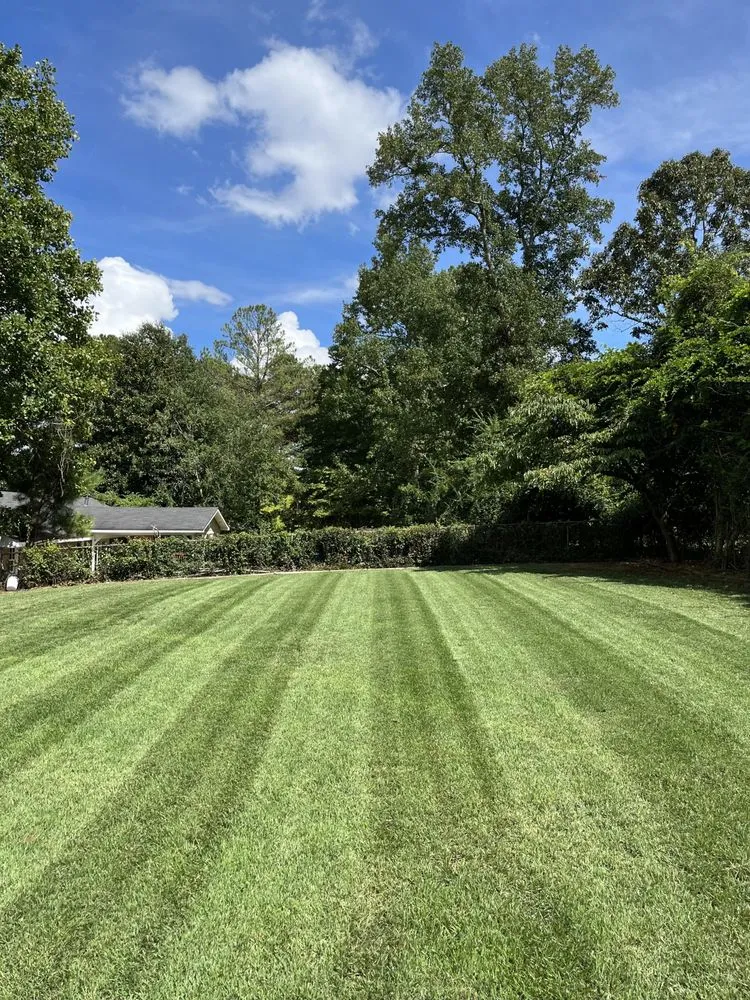 Top-rated outdoor landscaping experts serving Marietta, GA - Ellison Pro Landscaping