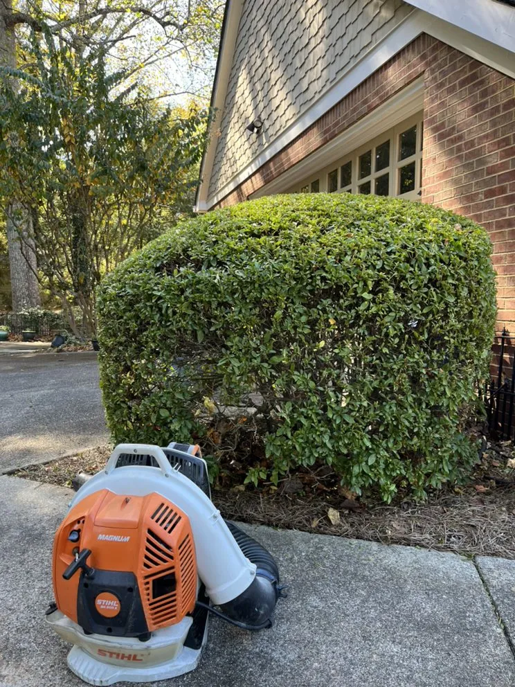 Professional outdoor landscaping with custom design in Marietta, GA by Ellison Pro Landscaping