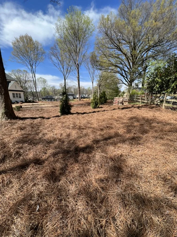 Expert yard maintenance experts serving Pinnacle, NC - Ellison’s Landscaping & Maintenance