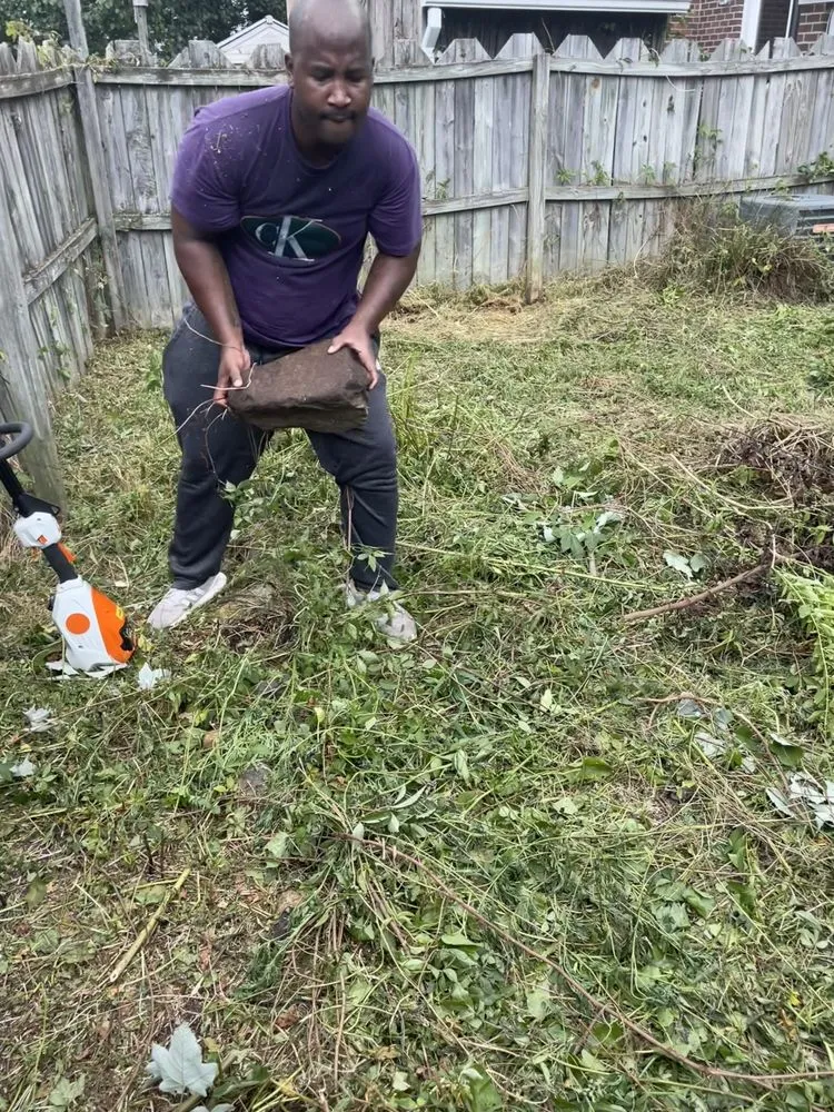 Reliable landscaping services for outdoor upgrades across Chesapeake, VA - ELLVVY