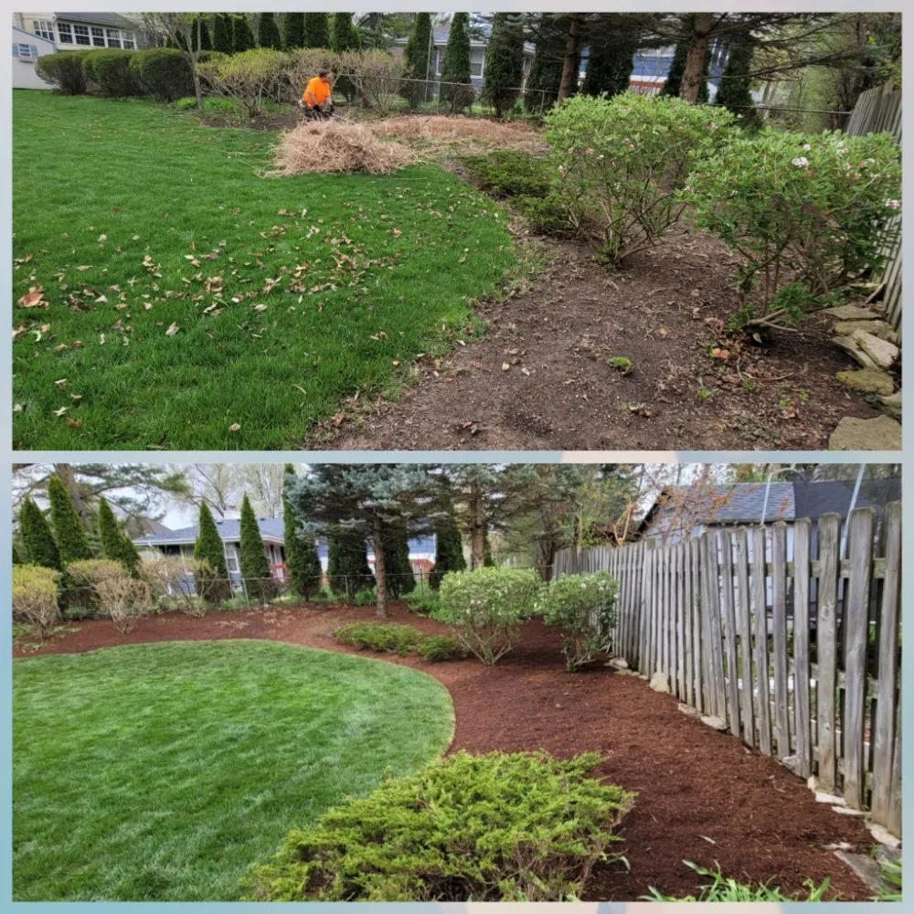 Affordable yard cleanup service experts serving Elmhurst, IL - ELM Landscapes