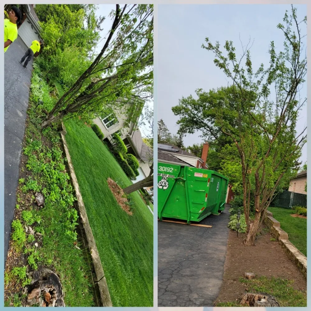 Top-rated lawn care service for year-round maintenance in Elmhurst, IL by ELM Landscapes