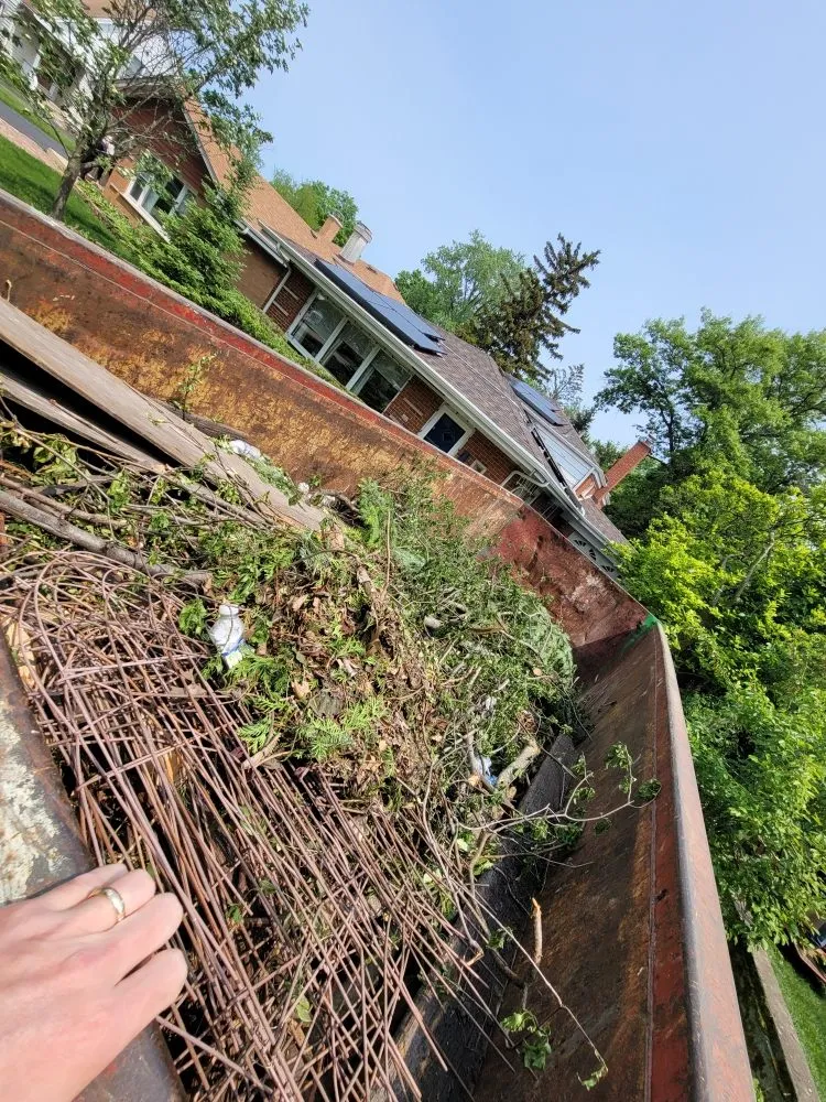 Reliable garden landscaping for homes across Elmhurst, IL - ELM Landscapes